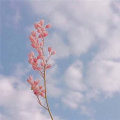 开云·kaiyun体育app下载