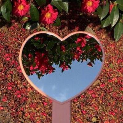 银河国际官网app下载app下载