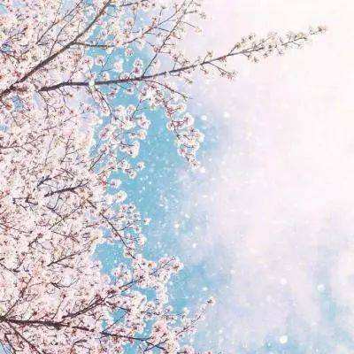 乐鱼竞彩官网下载手机版