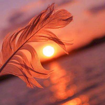 炸金花单机游戏app下载