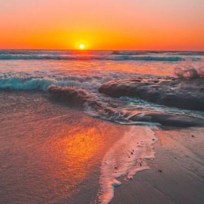 凤凰彩票app下载手机版